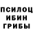 Псилоцибиновые грибы мицелий Izuko Gayen