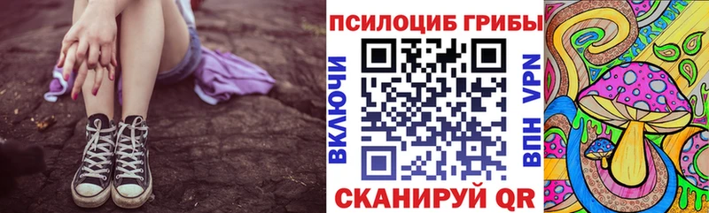 Псилоцибиновые грибы мухоморы  как найти закладки  Динская 